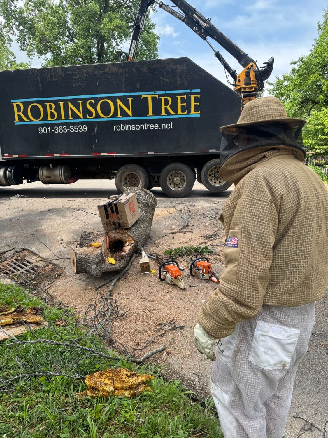 View over the shoulder of a beekeeper in a veil, looking at the cut trunk section with the box on it in the middle of a residential street. A Robinson Tree chip truck with a loader crane is parked alongside, two chainsaws lie on the pavement, and a piece of golden honeycomb sits in the grass in the foreground.