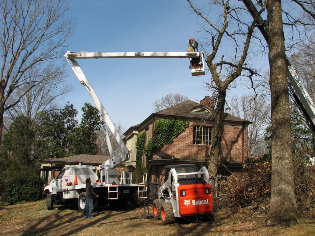 Robinson Tree bucket truck with its boom raised into a bare oak above a two-storey brick house, a Bobcat skid-steer parked on the lawn beside a pile of cut brush